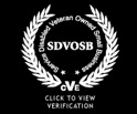 SDVOSB, service disabled veteran owned small business